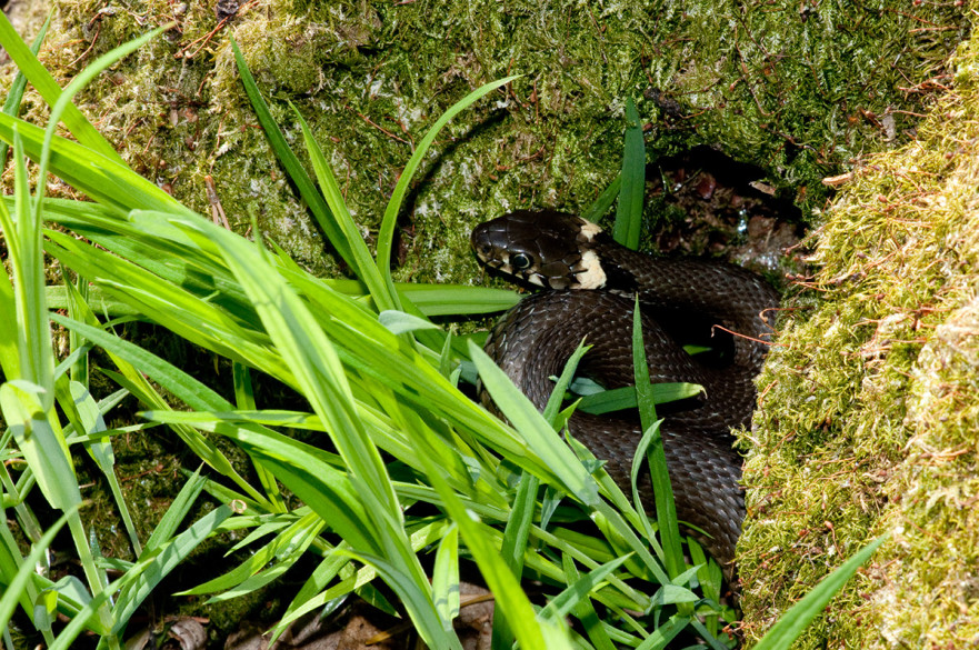 c-20090508-3228-881x585