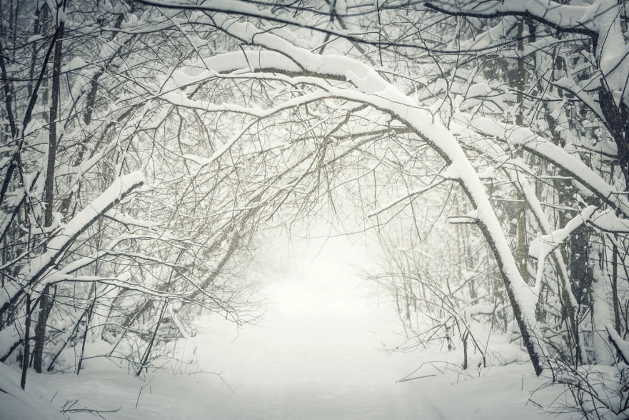 talv-metsas-bigstock-Snowy-path-through-winter-fore-77829125-edit-881x588